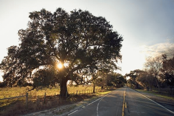 MyEdit - Landschaften oder Räume neu gestalten